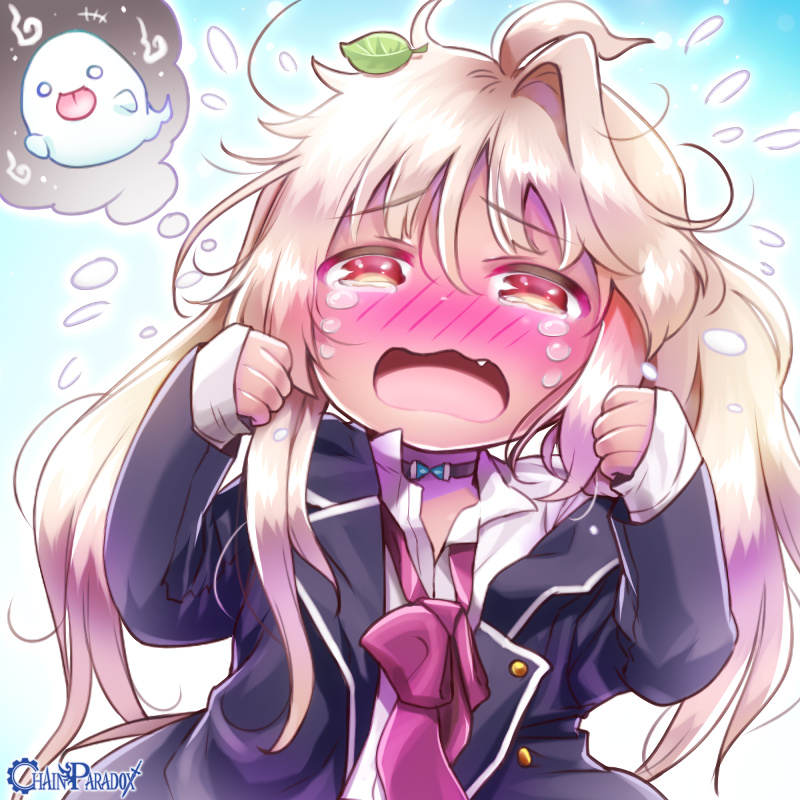 怖がり子猫のあやし方