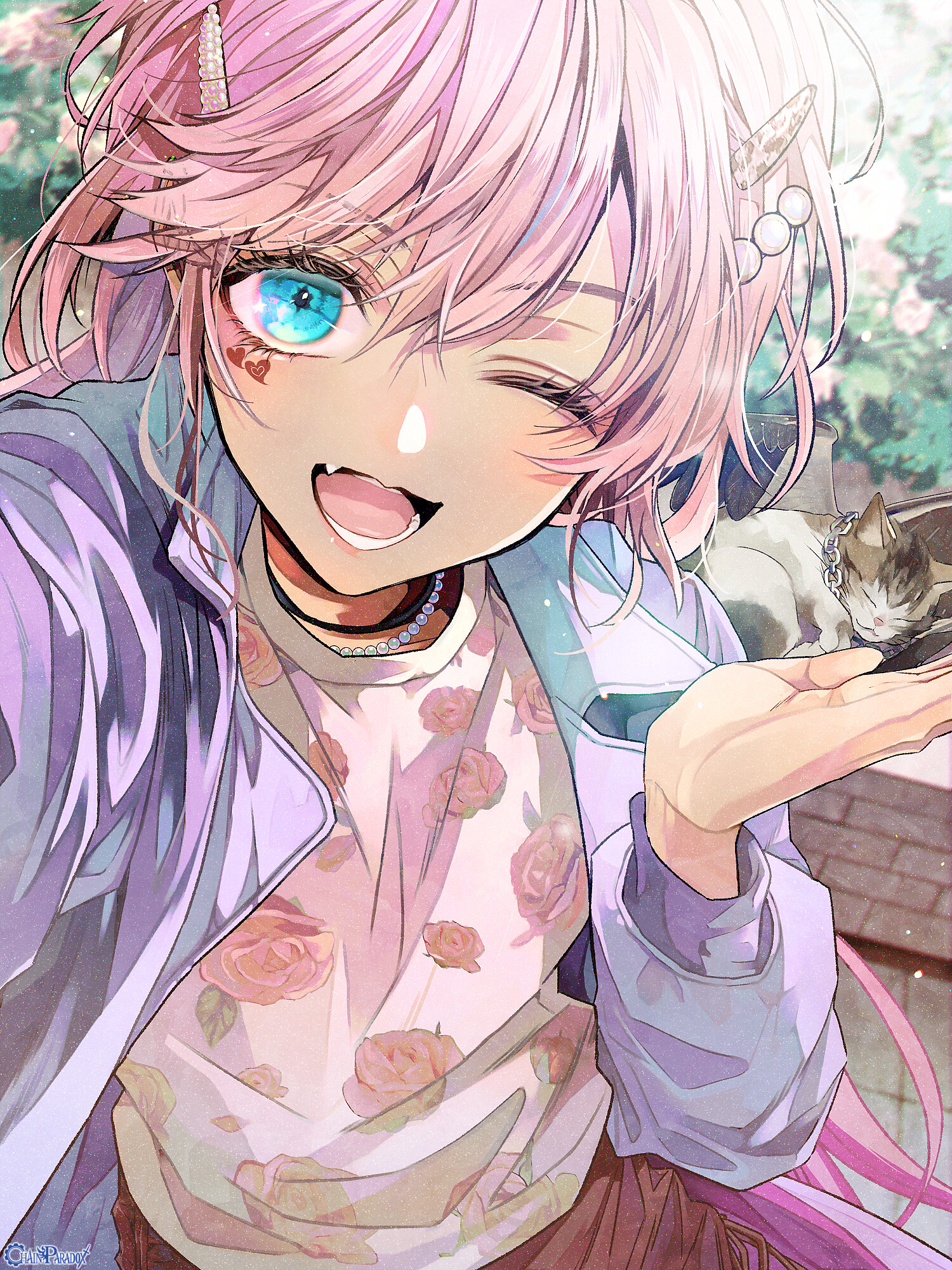 にゃんこはっけーん！